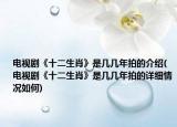 電視劇《十二生肖》是幾幾年拍的介紹(電視劇《十二生肖》是幾幾年拍的詳細(xì)情況如何)