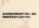 金發(fā)碧眼的碧眼是哪個(gè)部位（金發(fā)碧眼的意思是什么簡(jiǎn)介介紹）