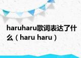 haruharu歌詞表達了什么（haru haru）