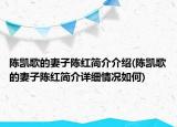 陳凱歌的妻子陳紅簡介介紹(陳凱歌的妻子陳紅簡介詳細情況如何)