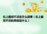 右上腹部不適是怎么回事（右上腹部不適的原因是什么）