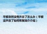 平板忽然沒有聲音了怎么辦（平板沒聲音了如何恢復(fù)簡(jiǎn)介介紹）