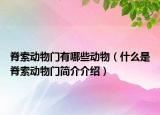 脊索動(dòng)物門有哪些動(dòng)物（什么是脊索動(dòng)物門簡(jiǎn)介介紹）