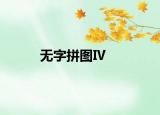 無字拼圖Ⅳ
