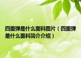 四面彈是什么面料圖片（四面彈是什么面料簡介介紹）