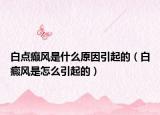 白點癲風是什么原因引起的（白癜風是怎么引起的）