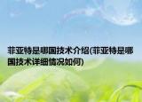 菲亞特是哪國技術(shù)介紹(菲亞特是哪國技術(shù)詳細(xì)情況如何)