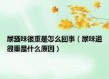 尿騷味很重是怎么回事（尿味道很重是什么原因）