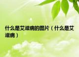 什么是艾滋病的圖片（什么是艾滋?。? /></span></a>
                        <h2><a href=