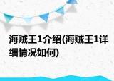 海賊王1介紹(海賊王1詳細(xì)情況如何)