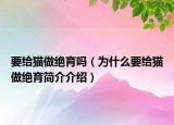要給貓做絕育嗎（為什么要給貓做絕育簡(jiǎn)介介紹）