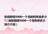 在借唄借5000一個(gè)月的利息是多少?（螞蟻借唄5000一個(gè)月利息多少簡介介紹）