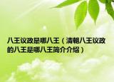 八王議政是哪八王（清朝八王議政的八王是哪八王簡(jiǎn)介介紹）