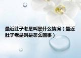 最近肚子老是叫是什么情況（最近肚子老是叫是怎么回事）