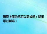 陰囊上面的毛可以剪掉嗎（陰毛可以剃嗎）