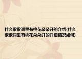 什么歌歌詞里有桃花朵朵開的介紹(什么歌歌詞里有桃花朵朵開的詳細(xì)情況如何)