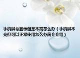 手機(jī)屏幕顯示但是不亮怎么辦（手機(jī)屏不亮但可以正常使用怎么辦簡介介紹）