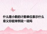 什么是小數(shù)的計(jì)數(shù)單位表示什么意義你能舉例說(shuō)一說(shuō)嗎