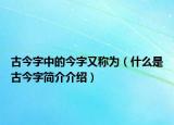 古今字中的今字又稱為（什么是古今字簡(jiǎn)介介紹）