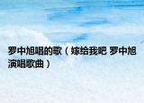 羅中旭唱的歌（嫁給我吧 羅中旭演唱歌曲）