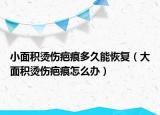小面積燙傷疤痕多久能恢復(fù)（大面積燙傷疤痕怎么辦）