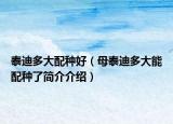 泰迪多大配種好（母泰迪多大能配種了簡(jiǎn)介介紹）