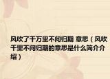 風(fēng)吹了千萬里不問歸期 意思（風(fēng)吹千里不問歸期的意思是什么簡(jiǎn)介介紹）