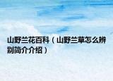 山野蘭花百科（山野蘭草怎么辨別簡介介紹）