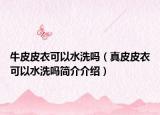 牛皮皮衣可以水洗嗎（真皮皮衣可以水洗嗎簡介介紹）