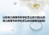 山東電力高等專科學校怎么樣介紹(山東電力高等?？茖W校怎么樣詳細情況如何)