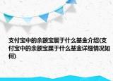 支付寶中的余額寶屬于什么基金介紹(支付寶中的余額寶屬于什么基金詳細情況如何)