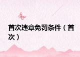 首次違章免罰條件（首次）