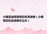小便混濁里面有白色渾濁物（小便有白色混濁物怎么辦）