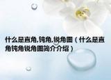 什么是直角,鈍角,銳角圖（什么是直角鈍角銳角圖簡介介紹）