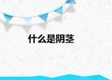 什么是陰莖