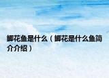 鯽花魚(yú)是什么（鯽花是什么魚(yú)簡(jiǎn)介介紹）