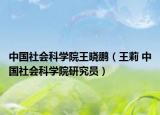 中國社會科學院王曉鵬（王莉 中國社會科學院研究員）