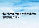 七進七出是什么（七進七出什么意思簡介介紹）