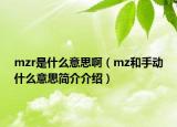 mzr是什么意思啊（mz和手動(dòng)什么意思簡介介紹）
