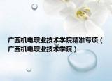 廣西機電職業(yè)技術學院精準專項（廣西機電職業(yè)技術學院）