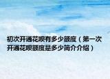 初次開通花唄有多少額度（第一次開通花唄額度是多少簡介介紹）