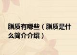 脂質(zhì)有哪些（脂質(zhì)是什么簡介介紹）