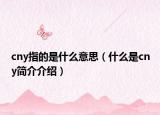 cny指的是什么意思（什么是cny簡介介紹）