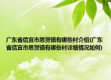 廣東省信宜市思賀鎮(zhèn)有哪些村介紹(廣東省信宜市思賀鎮(zhèn)有哪些村詳細情況如何)
