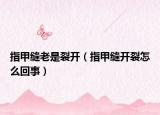 指甲縫老是裂開（指甲縫開裂怎么回事）