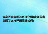 青島天泰集團(tuán)怎么樣介紹(青島天泰集團(tuán)怎么樣詳細(xì)情況如何)