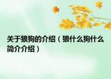關(guān)于狼狗的介紹（狼什么狗什么簡(jiǎn)介介紹）