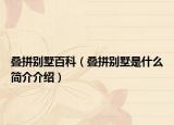疊拼別墅百科（疊拼別墅是什么簡介介紹）