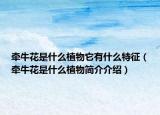 牽?；ㄊ鞘裁粗参锼惺裁刺卣鳎颗；ㄊ鞘裁粗参锖?jiǎn)介介紹）