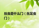 絲蟲(chóng)是什么門(mén)（絲足蟲(chóng)門(mén)）